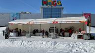 Маслиница в Мега Парке Маслиница в Мега Парке